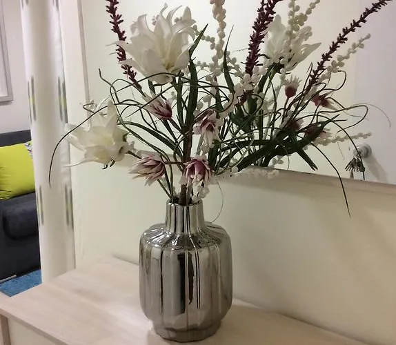 Ancora Mar מלון 2*