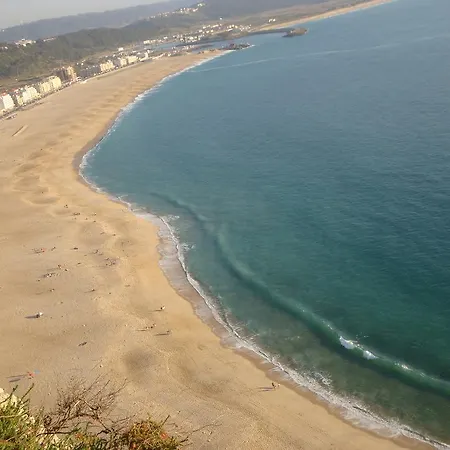 Hotel Ancora Mar 2*